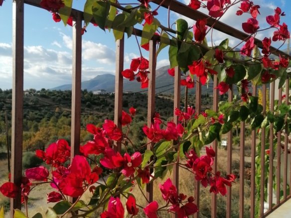 Μονοκατοικία προς πώληση, Καλλιθέα, Αμάρυνθος