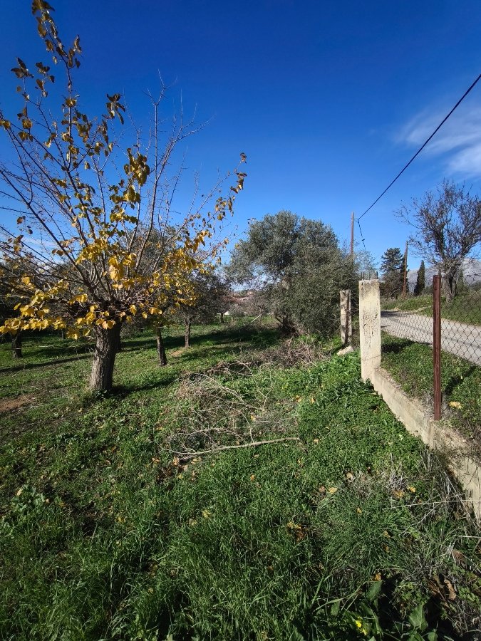 maison a ventre,AMARYNTHOS,Capsun eretria. real estate,agency (10)