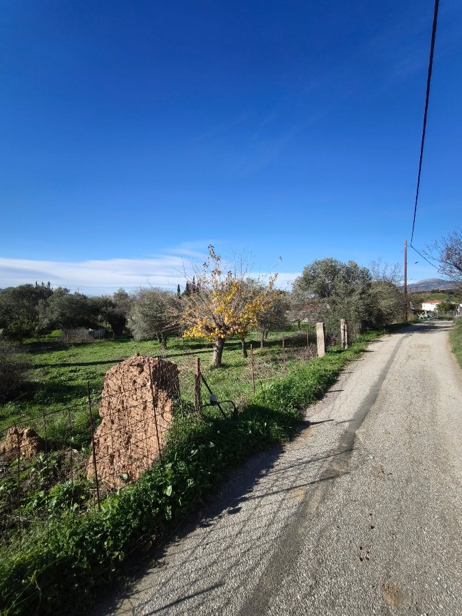 maison a ventre,AMARYNTHOS,Capsun eretria. real estate,agency (3)