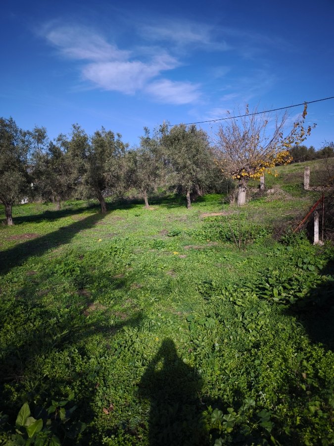 maison a ventre,AMARYNTHOS,Capsun eretria. real estate,agency (9)