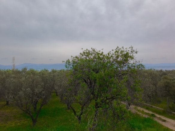 For Sale Family home steps from the sea – Eretria