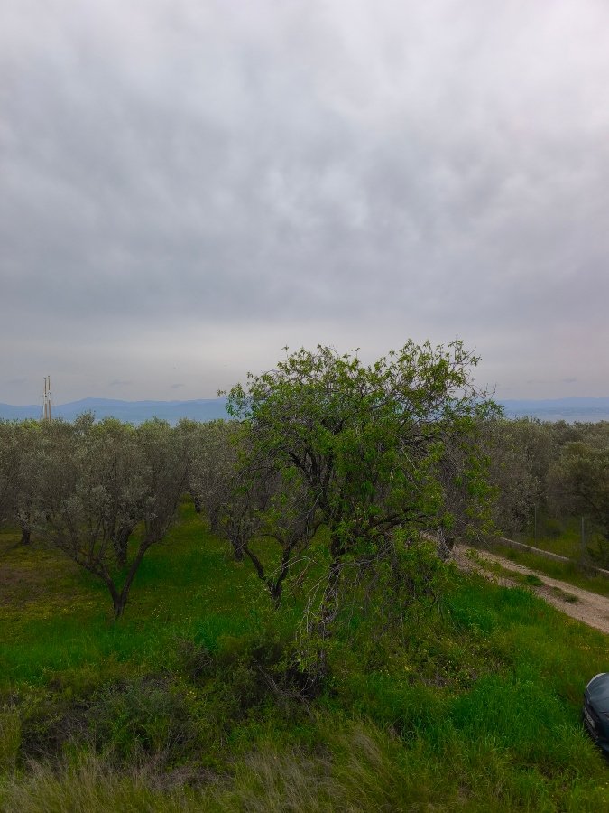 For Sale Family home steps from the sea – Eretria