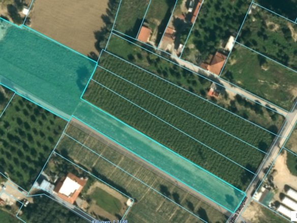 Land Plot for Rent 5,774 sq.m. in Lefkanti, Evia