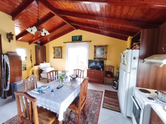 Detached House Surrounded by Greenery in Eretria