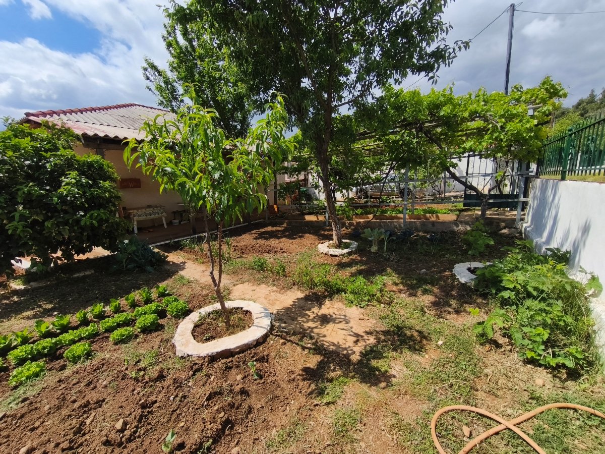For sale Eretria: A charming 80 sq.m. residence on a 403 sq.m. plot