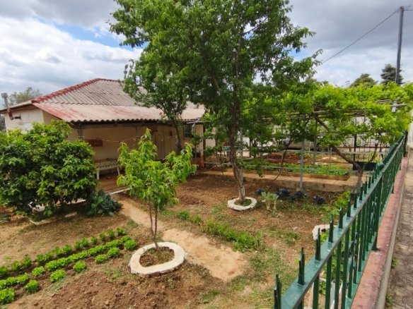 For sale Eretria: A charming 80 sq.m. residence on a 403 sq.m. plot