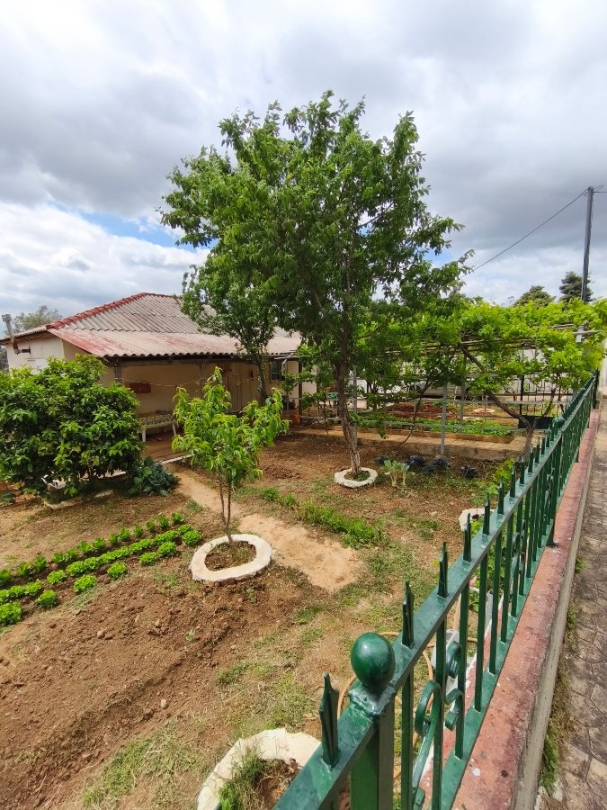 For sale Eretria: A charming 80 sq.m. residence on a 403 sq.m. plot