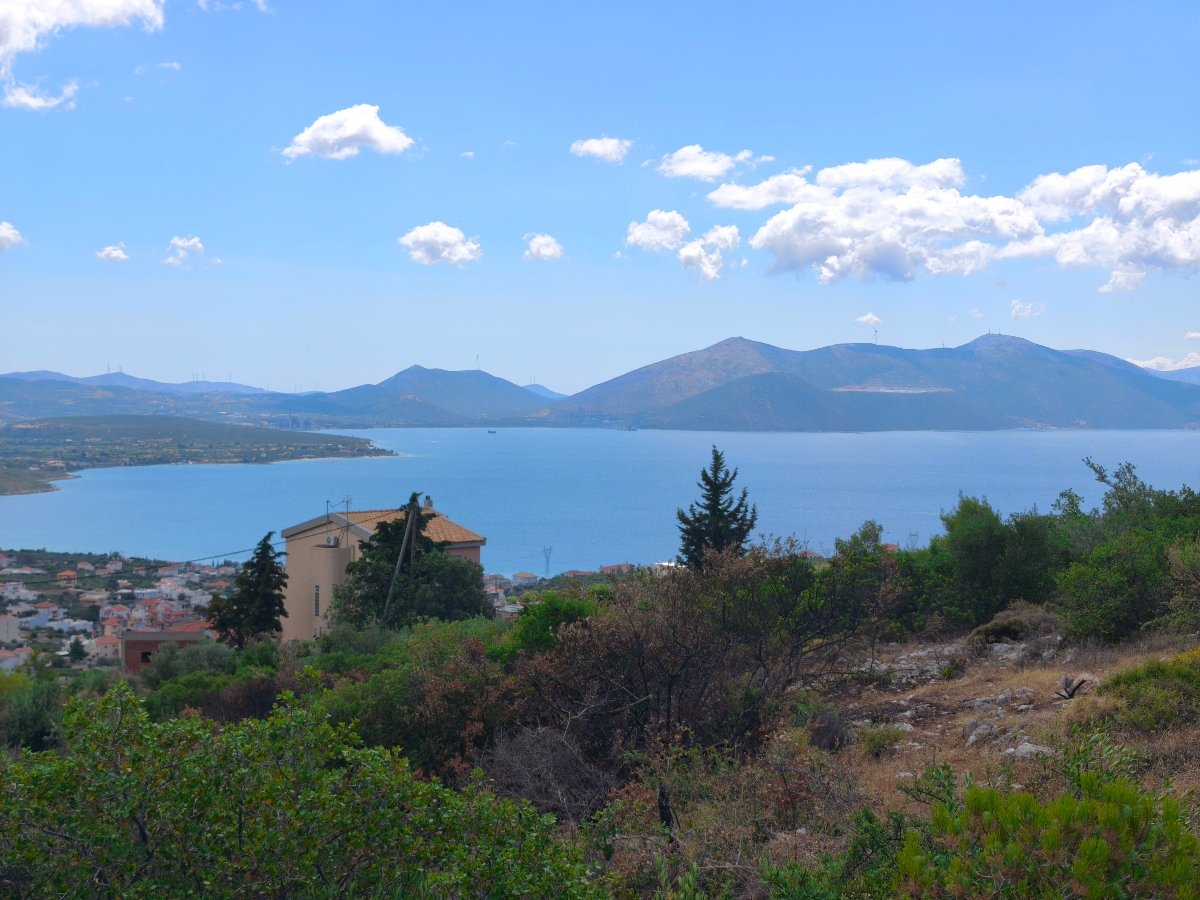 ΟΙΚΟΠΕΔΟ ΑΚΤΗ ΝΗΡΕΩΣ Α ΕΝΑ ΚΕΝΤΡΟ (2) Οικόπεδο 806 τ.μ. οικοδομήσιμο με θέα στη θάλασσα στην Ακτή Νηρέως