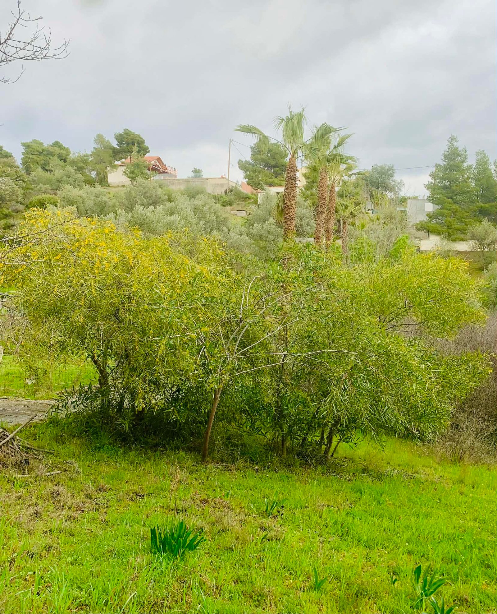 unnamed (1) A RESIDENCE OF PRIVACY, VIEWS, AND POTENTIAL