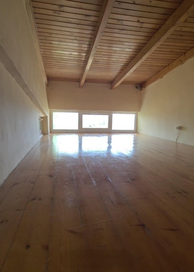 Authentic character house