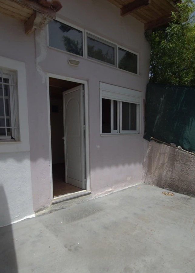 Authentic character house