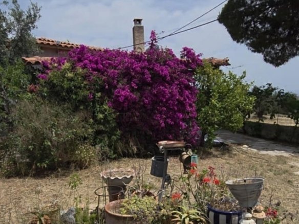 Authentic character house