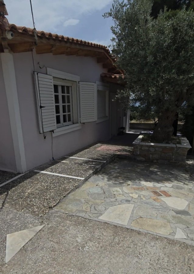 Authentic character house