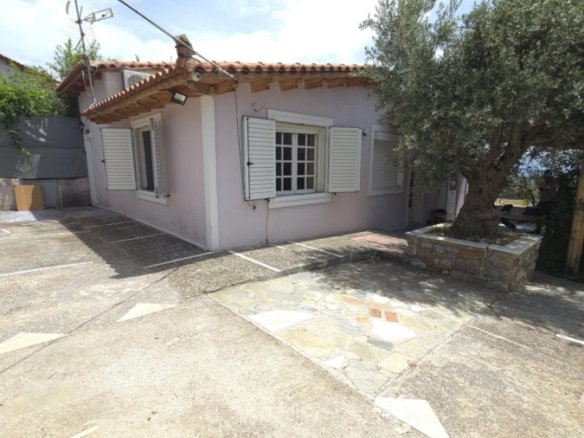 Authentic character house