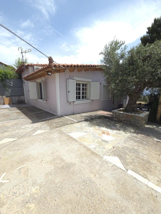 Authentic character house