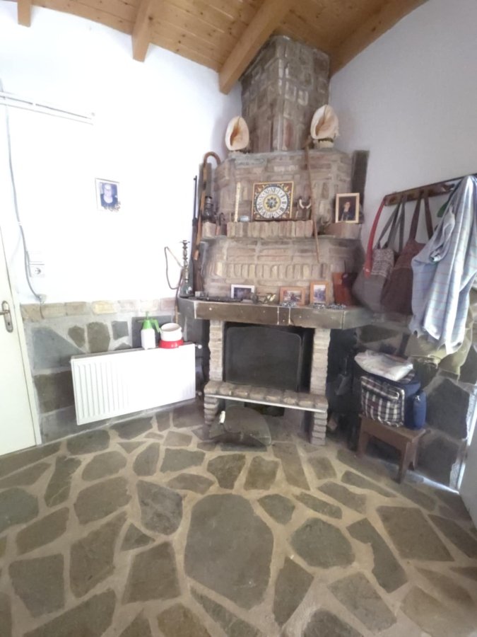 Authentic character house