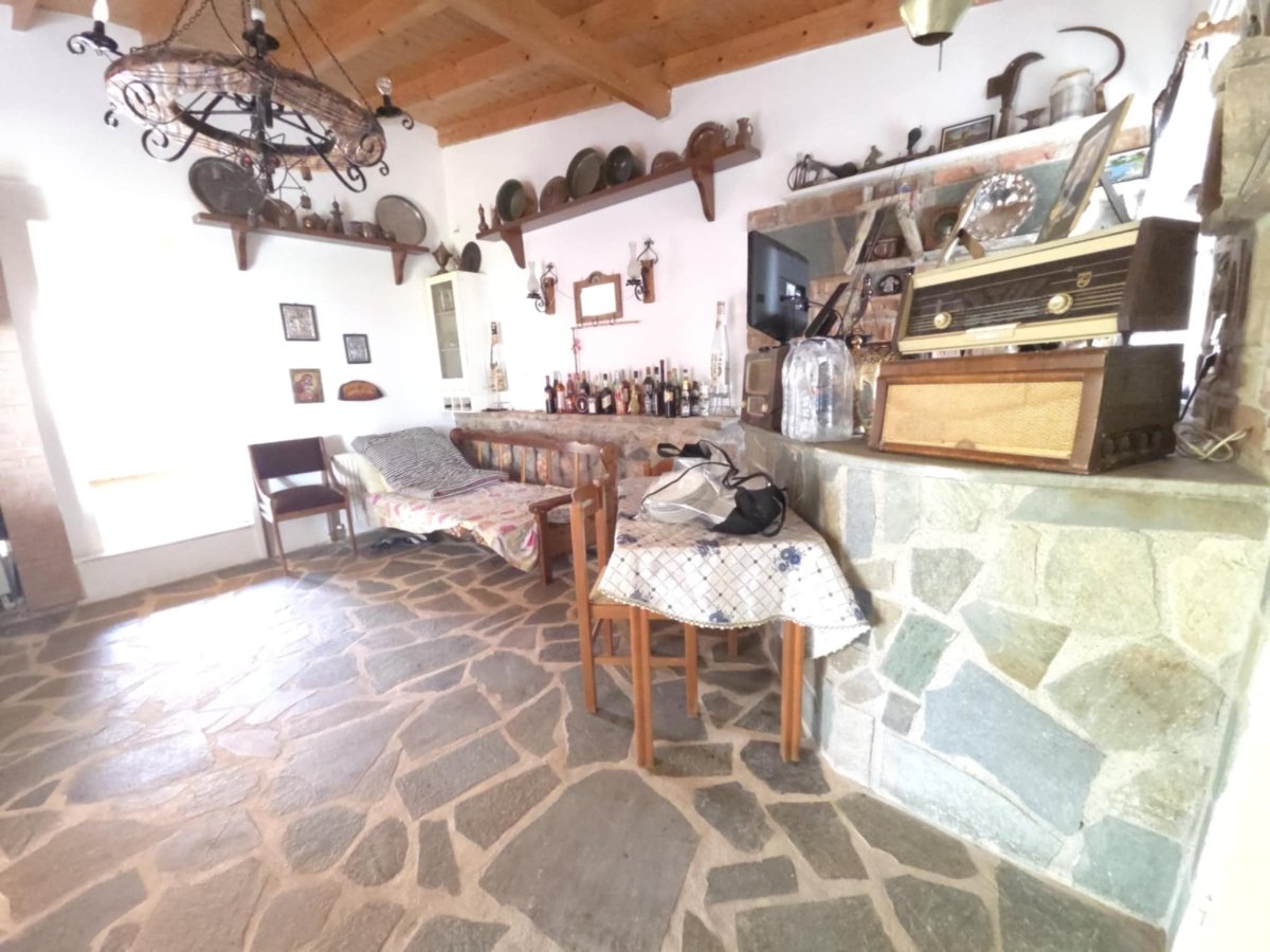Authentic character house