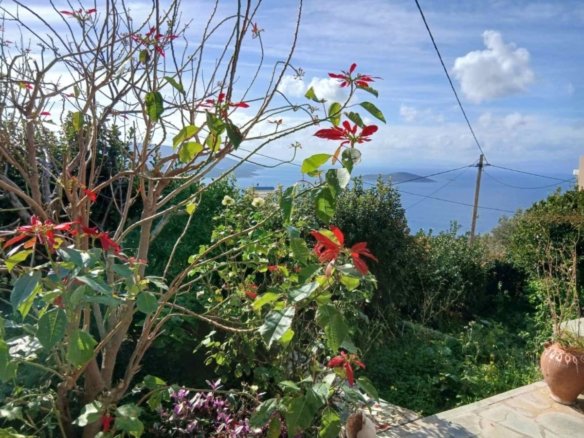 Propriété avec un potentiel de développement ultérieur – Marmari, Evia