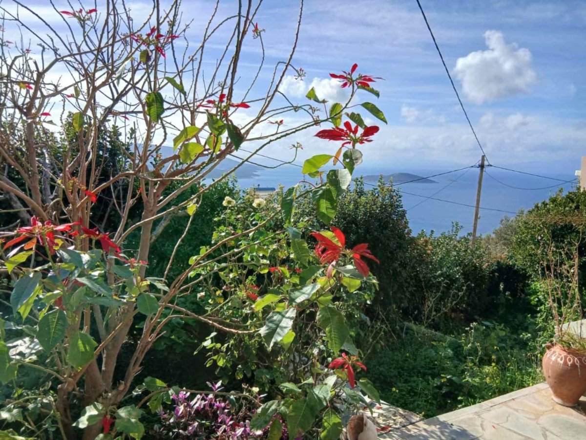A VENTRE CAPSUN ERETRIA,MARMARI (6) Propriété avec un potentiel de développement ultérieur – Marmari, Evia